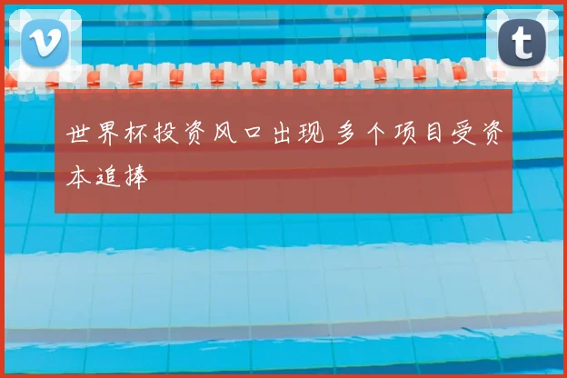 世界杯投资风口出现 多个项目受资本追捧